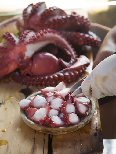 Publicada la convocatoria para la instalación de casetas de pulpo en el próximo San Froilán